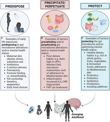 Predispose, precipitate, perpetuate, and protect: how diet and the gut influence mental health in emerging adulthood
